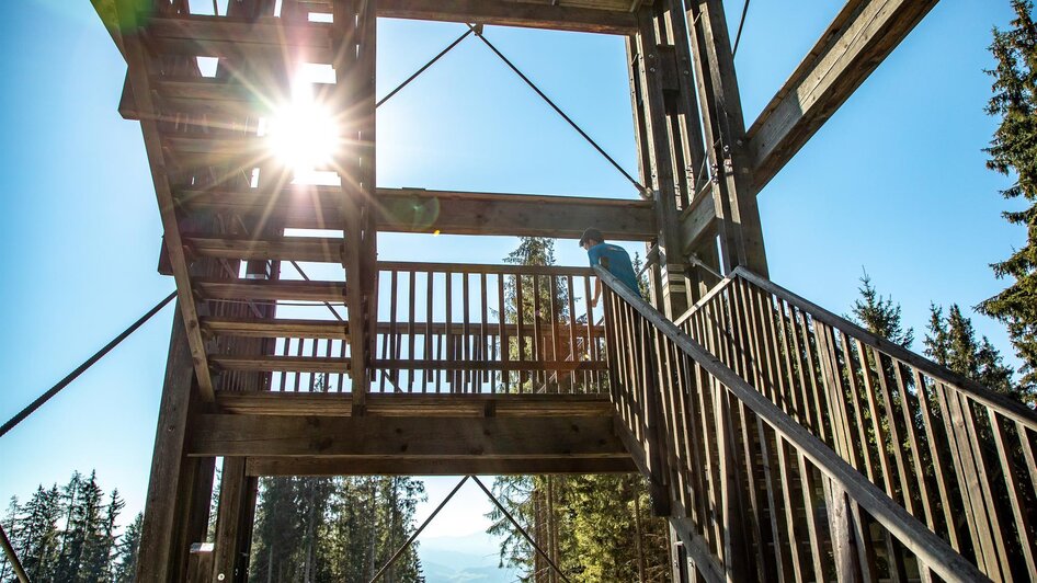 Turm Im Gebirge - Tremmelberg In Seckau | Steiermark.com